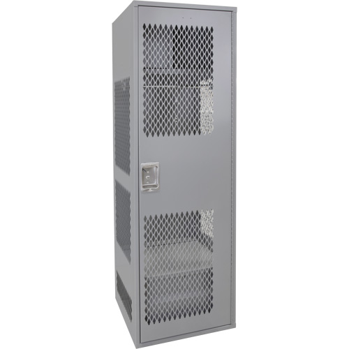 Gear Locker with Door, Steel, 24" W x 24" D x 72" H, Grey SPOC Demo