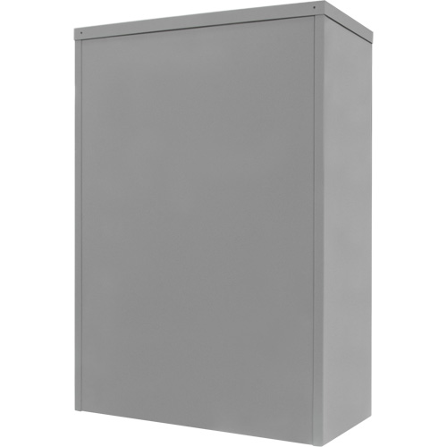 Counter-High Storage Cabinet, Steel, 2 Shelves, 42" H x 30" W x 15" D, Grey SPOC Demo