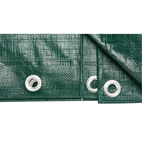 Tarp, Heavy-Duty, Green, 60' x 40' x 9 mils SPOC Demo