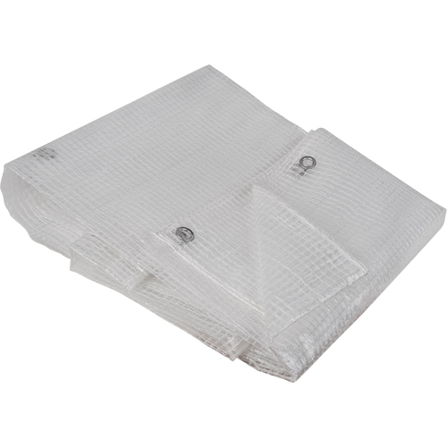 Clear Tarp, 12' x 10' x 8 mils SPOC Demo