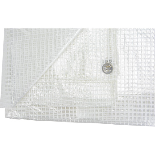 Clear Tarp, 12' x 10' x 8 mils SPOC Demo