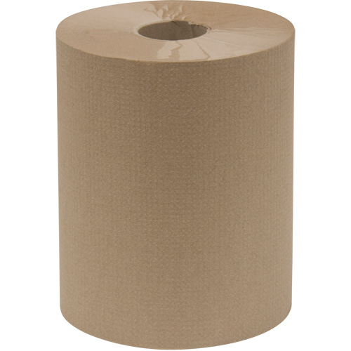 Rouleau d'essuie-tout Everest Pro, 1 pli, Standard, 600' lo SPOC Demo