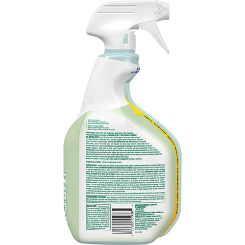 CloroxPro Clorox EcoClean Disinfecting Cleaner, 946 ml, Trigger Bottle SPOC Demo