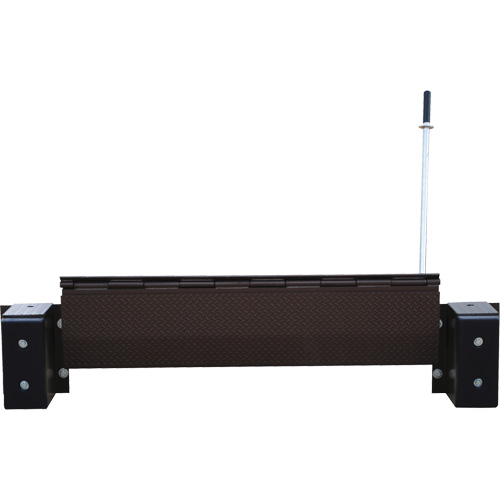 Mechanical Edge-O-Dock Leveler, 99" W, 72" Deck Width, 29" Span SPOC Demo