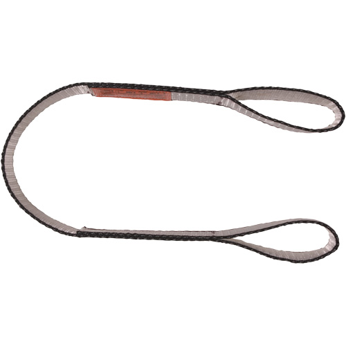 &eacute;linge sangle en polyester, Pli Double, Oeillet double, Type 3, 1" la x 4' lo, Capacit&eacute; verticale 3100 lb SPOC Demo