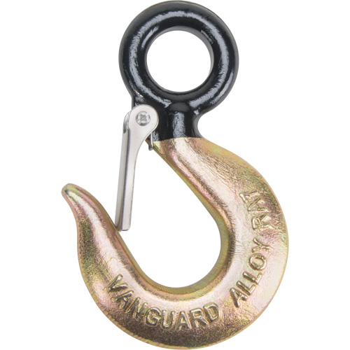 Black Eye&reg; Wire Rope Hoist Hook SPOC Demo