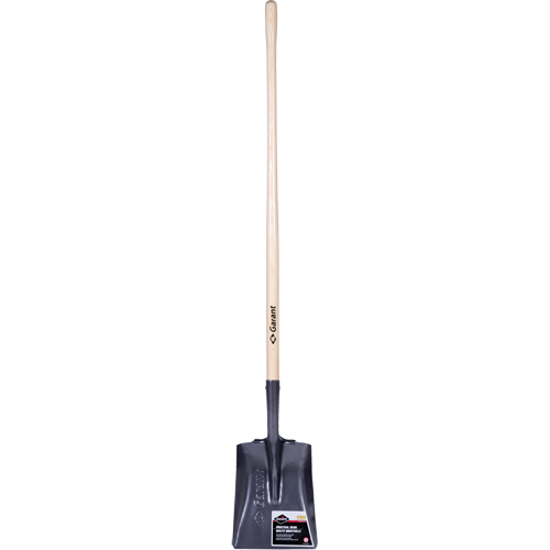 Pelle carr&eacute;e  Pro, Bois, Lame Acier durci, Manche en Droit, Longueur 48" SPOC Demo