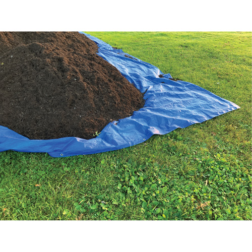 Tarp, Standard Duty, Blue, 7' x 5' x 4 mils SPOC Demo