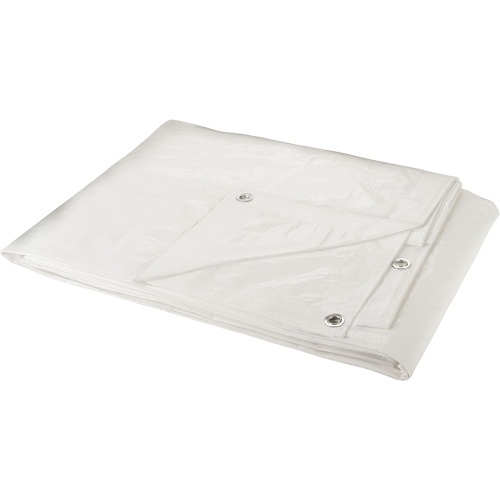 Tarp, Heavy-Duty, White, 40' x 30' x 6 mils SPOC Demo