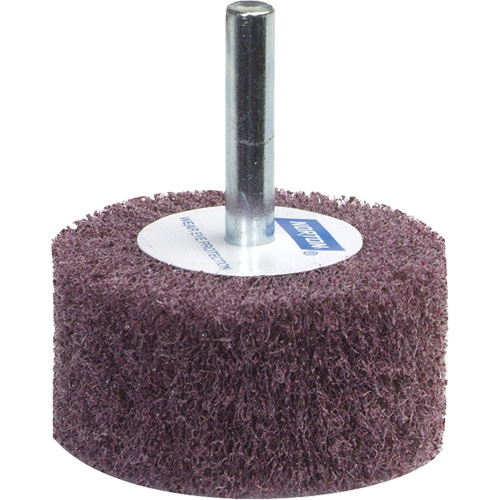 Meule &agrave; lamelles abrasives Bear-Tex SPOC Demo