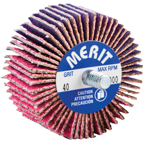 Threaded Mini Flap Wheel, Ceramic Alumina, 40 Grit, 2" x 1" x 1/4"-20 SPOC Demo