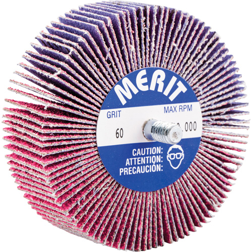 Threaded Mini Flap Wheel, Ceramic Alumina, 60 Grit, 3" x 1" x 1/4"-20 SPOC Demo