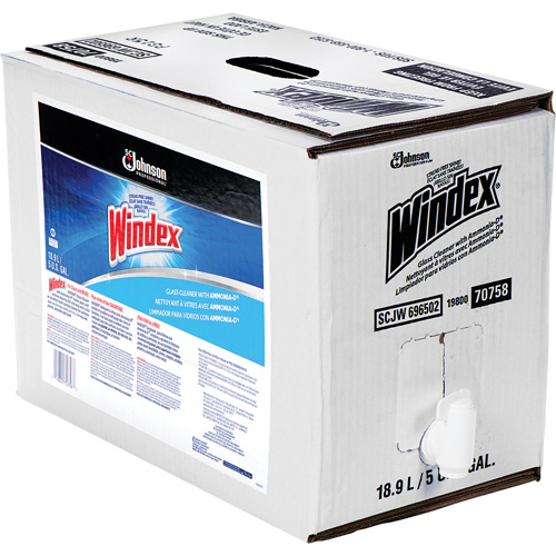 Nettoyant pour vitres Windex avec Ammoniac-D, 5 gal., Sac SPOC Demo
