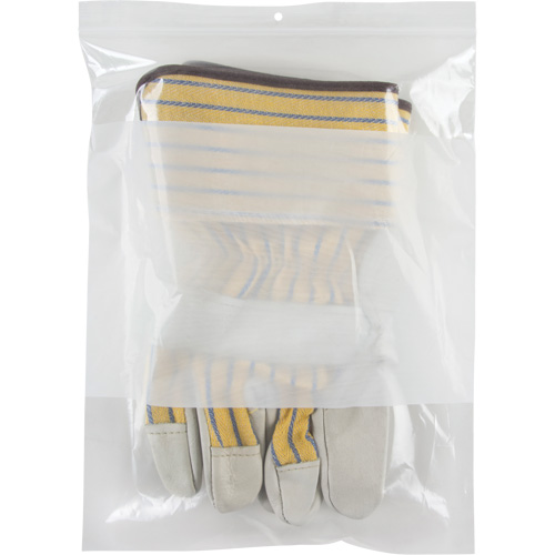 Sacs en poly avec espace inscriptible blanc, Refermable, 12" x 9", 2 mils SPOC Demo