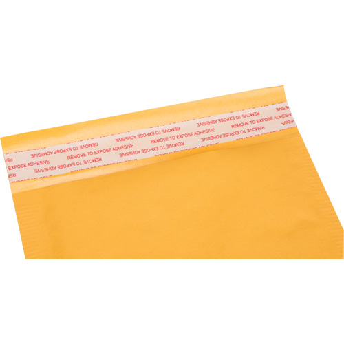 Enveloppes postales coussin&eacute;es, Kraft, 6" la x 10" lo SPOC Demo