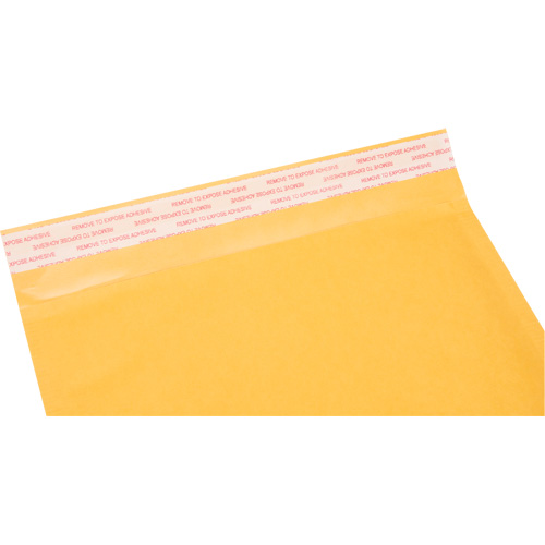 Enveloppes postales coussin&eacute;es, Kraft, 8-1/2" la x 14-1/4" lo SPOC Demo