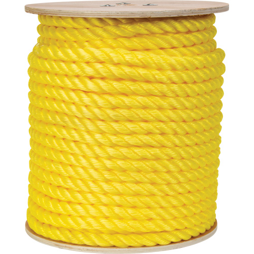 Corde jaune tress&eacute;e, Polypropyl&egrave;ne, 300' SPOC Demo