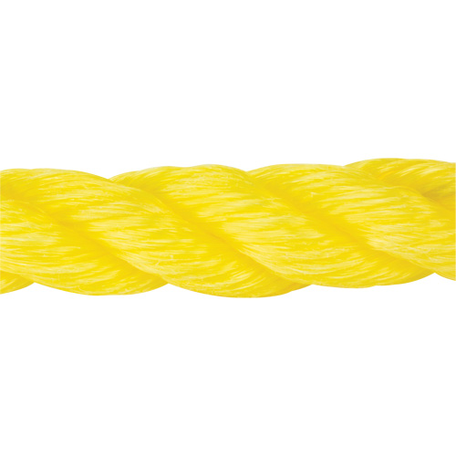 Corde jaune tress&eacute;e, Polypropyl&egrave;ne, 300' SPOC Demo