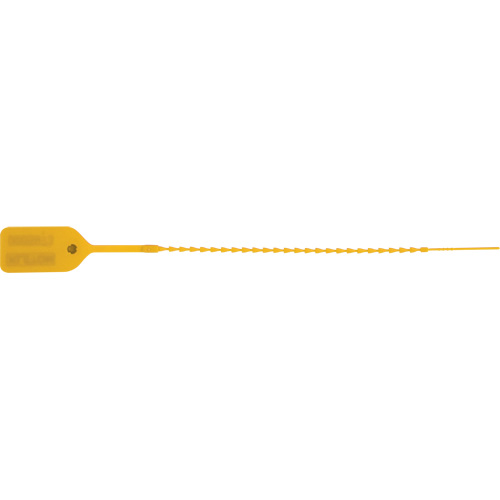 Scell&eacute; de s&eacute;curit&eacute; standard, 9", Plastique, Pousser et tirer SPOC Demo