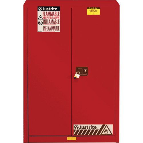 Armoire de s&eacute;curit&eacute; pour la peinture et les encres combustibles EX Sure-Grip, 60 gal., 5 tablettes SPOC Demo