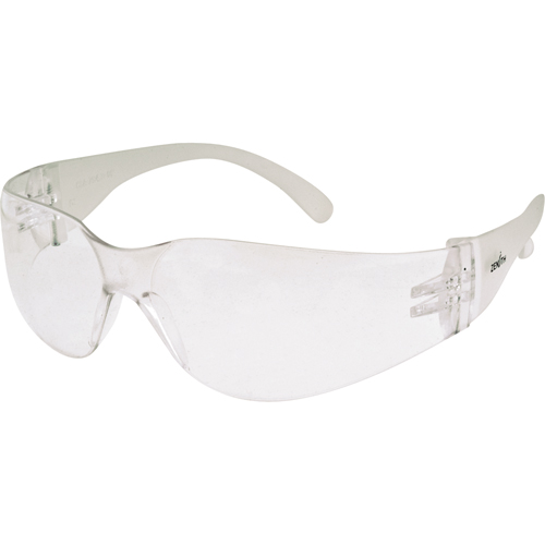 Z600 Series Safety Glasses, Clear Lens, Anti-Fog/Anti-Scratch, ANSI Z87+/Meets/Exceeds CSA Z94.3 SPOC Demo