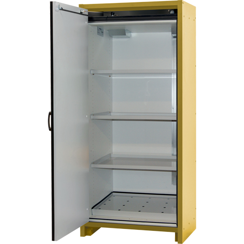 Armoire d'entreposage 30 minutes s&eacute;curitaire et conforme &agrave; la norme EN, 30 gal., 1 Porte(s), 34,02" La x 76,65" h x 24,21" p SPOC Demo