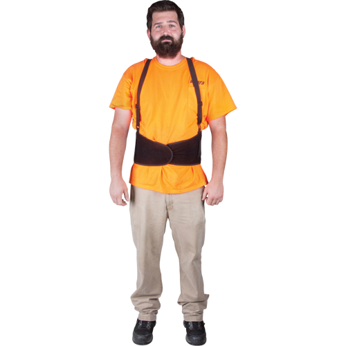 Back Support, Elastic, Medium SPOC Demo