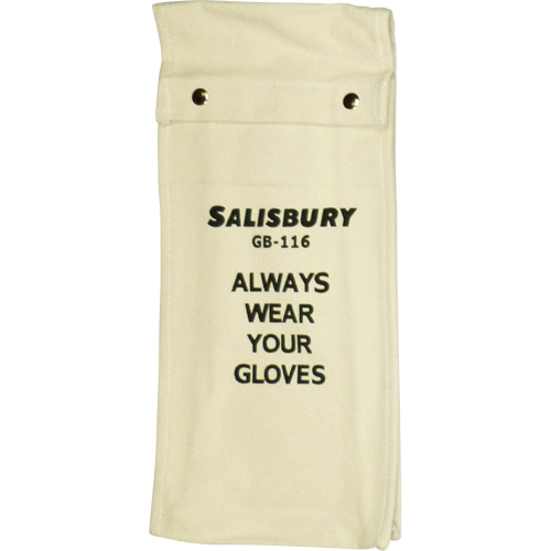 Salisbury  Glove Bag SPOC Demo