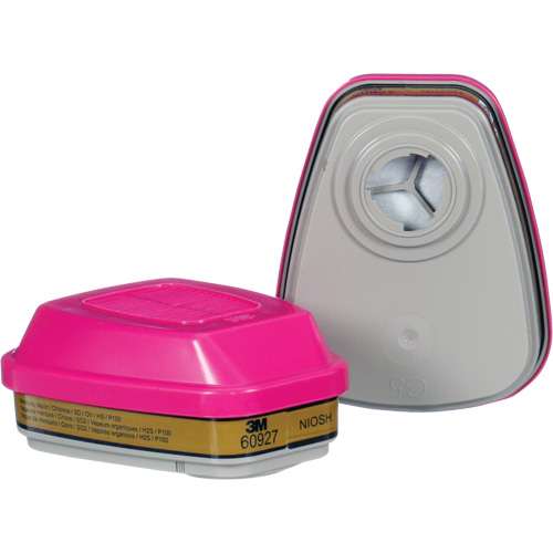 Cartouche, Combinaison cartouche et filtre contre les particules pour gaz/vapeurs, Gaz multiples/Vapeurs/P100 SPOC Demo