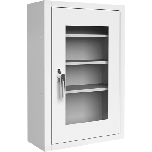 Lockable Medicine Cabinet with Plexiglas Door SPOC Demo