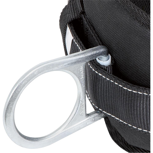 WB-6020-XXL Dispositif de retenue de s&eacute;curit&eacute; avec ceinture &agrave; deux anneaux en D et support lombaire rembourr&eacute; - 2T-grand SPOC Demo