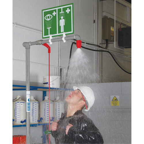 Combination Shower with Closed ABS Bowl & Top Inlet, Pedestal SPOC Demo
