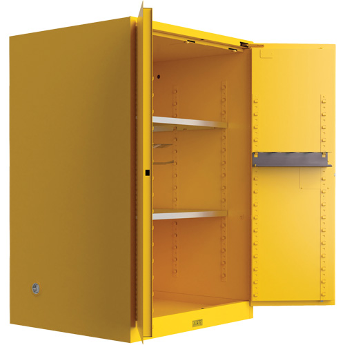 Armoire de s&eacute;curit&eacute; pour produits inflammables Utili-Guard+, 45 gal., 2 Porte(s), 43" La x 65" h x 22" p SPOC Demo
