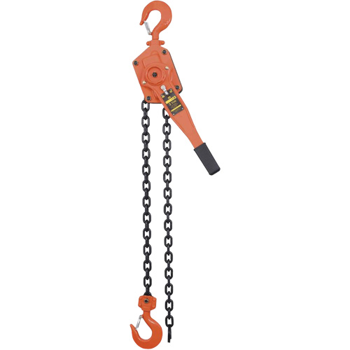 VLP Series Chain Hoists, 5' Lift, 6000 lbs. (3 tons) Capacity, Steel Chain SPOC Demo