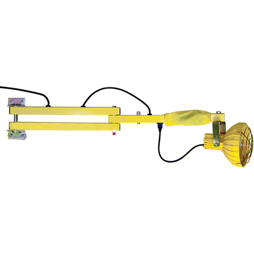 Lampes avec bras flexible pour quais, Ampoule Incandescente, Bras 40" SPOC Demo