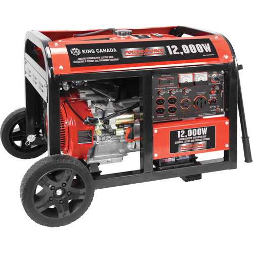 Electric Start Gas Generator with Wheel Kit, 12000 W Surge, 9000 W Rated, 120 V/240 V, 31 L Tank SPOC Demo