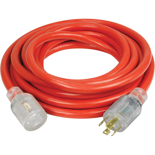 Generator Extension Cord with Quad Tap, Outdoor, 10 AWG, 30 A, 4 Outlet(s), 25' SPOC Demo