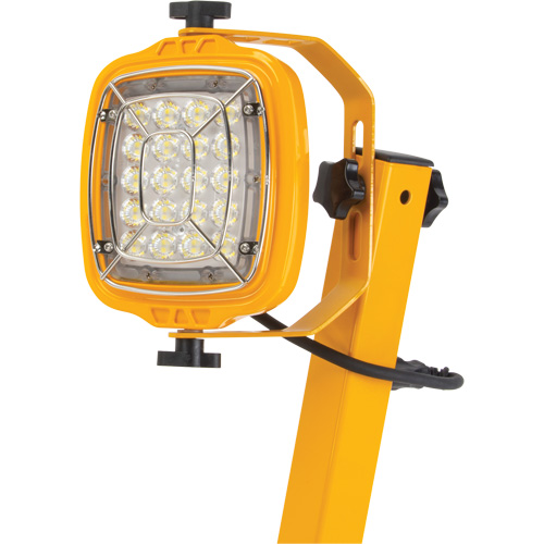 Dock Light, 40" Arm, 50 W, LED Lamp, Metal SPOC Demo
