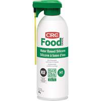 Water-Based Silicone Lubricant, Aerosol Can SPOC Demo