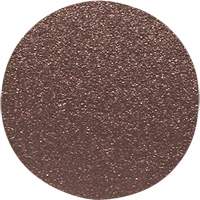 Wood Sanding Disc, 12" Dia., 60 Grit SPOC Demo