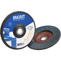Flap Discs