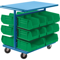 Bin Cart with Bins, Double-sided, 20 bins, 24" W x 38-1/2" D x 36-1/2" H SPOC Demo