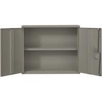Wall Mounted Cabinet, Steel, 2 Shelves, 30" H x 36" W x 12" D, Grey SPOC Demo
