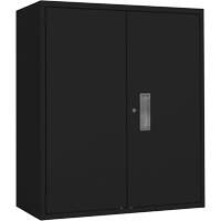 Lo-Boy Storage Cabinet, Steel, 2 Shelves, 42" H x 36" W x 18" D, Black SPOC Demo