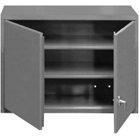 Wall-Mounted Cabinet, 27" H x 29-7/8" W x 13-11/16" D, 2 Shelves, Steel, Grey SPOC Demo