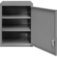 Wall-Mounted Cabinet, 27" H x 13-11/16" W x 18" D, 2 Shelves, Steel, Grey SPOC Demo