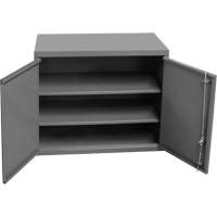 Wall-Mounted Cabinet, 27" H x 13-11/16" W x 35-7/8" D, 2 Shelves, Steel, Grey SPOC Demo