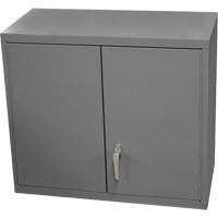 Wall-Mounted Cabinet, 27" H x 13-11/16" W x 35-7/8" D, 2 Shelves, Steel, Grey SPOC Demo