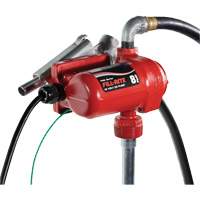Pompe de transfert de carburant 12 V CC avec pistolet SPOC Demo