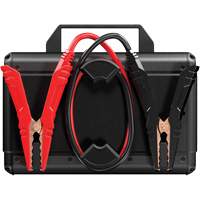 V4000 HD 12V/24V 4000A Jump Starter SPOC Demo